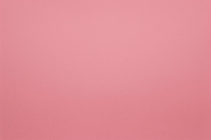 Roso fundo basico de rosa somente rosa